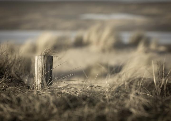 Strandcafe Seeblick